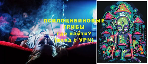 ГАЛЛЮЦИНОГЕННЫЕ ГРИБЫ Нестеровская