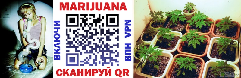 Каннабис SATIVA & INDICA Новомосковск